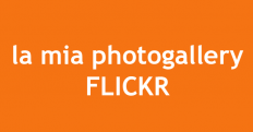Gallery Flickr